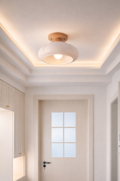 Modern organic-shaped white ceiling light illuminating a minimalist entryway foyer.